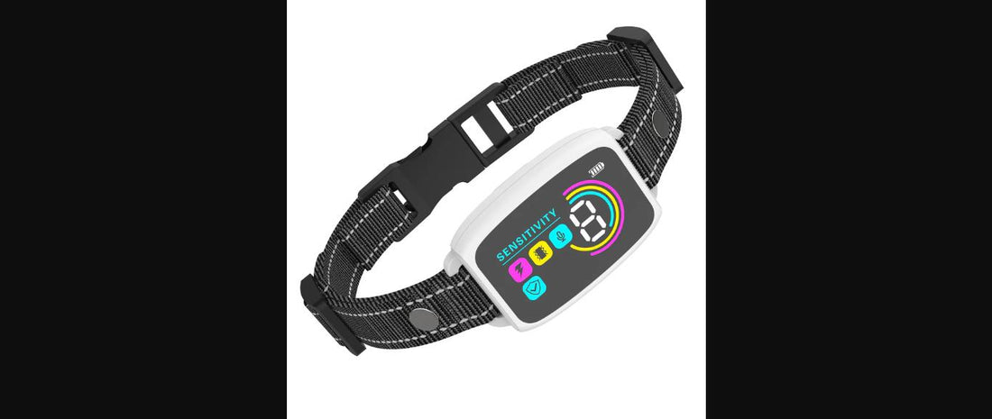 Collier anti-aboiement intelligent pour chien