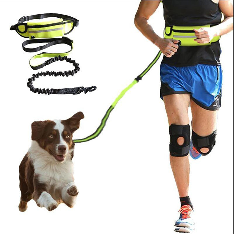 Laisse mains libres pour chien avec ceinture ergonomique réglable, laisse élastique anti-choc, poche smartphone étanche et coutures réfléchissantes. Idéale running.