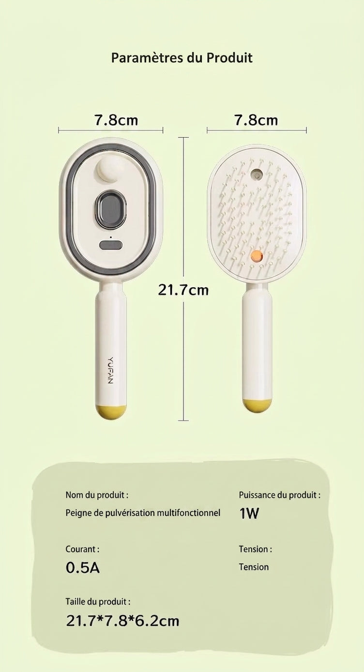 Brosse électrique avec spray