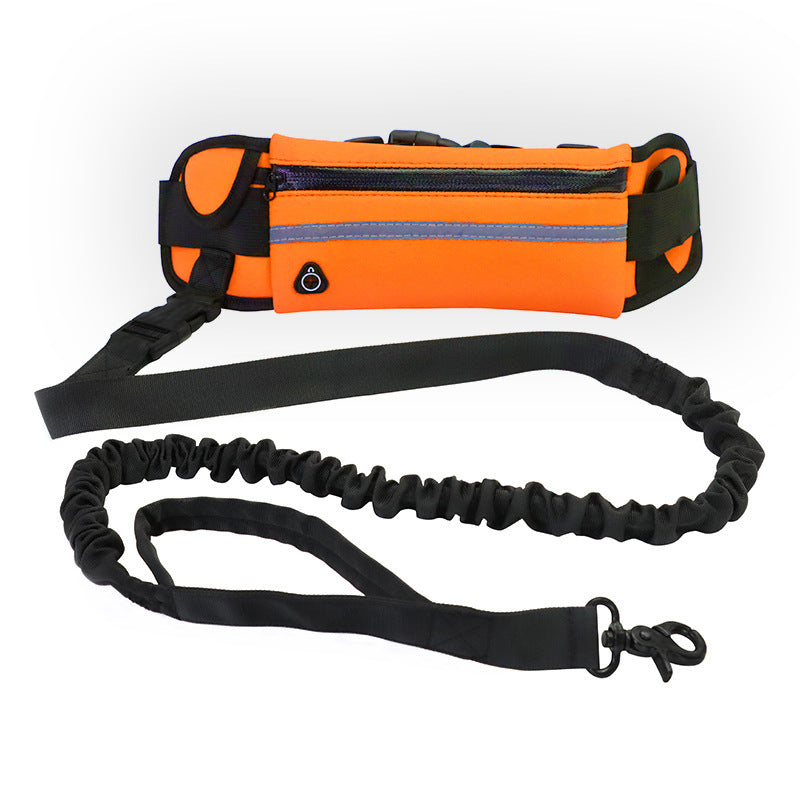 Laisse mains libres pour chien avec ceinture ergonomique réglable, laisse élastique anti-choc, poche smartphone étanche et coutures réfléchissantes. Idéale running.